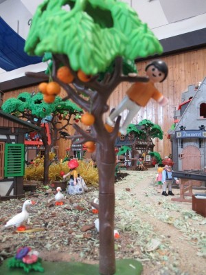 IMG_4002_1.jpg