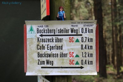 Harz 31.JPG