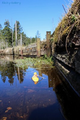 Harz 48.JPG