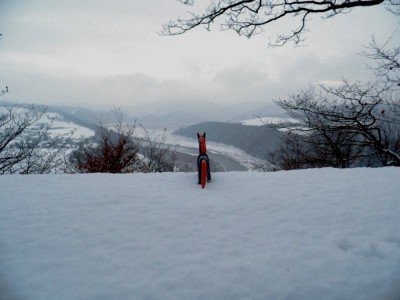 Freedom - Hochstein am Edersee Winter.JPG