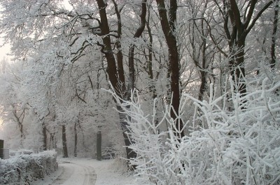 Winter 2007.jpg (223.48 KiB) 2983 mal betrachtet Winter 2007.jpg