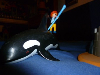 P1100487.JPG (63.87 KiB) 5012 mal betrachtet P1100487.JPG