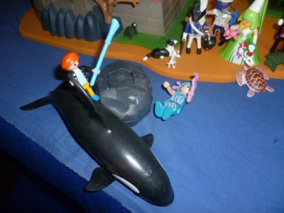 P1100517.JPG (86.58 KiB) 5028 mal betrachtet P1100517.JPG