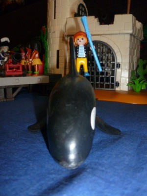 P1100741.JPG (78.97 KiB) 4309 mal betrachtet P1100741.JPG