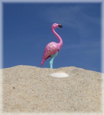 Flamingo2.jpg