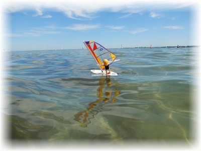 image9305a.jpg