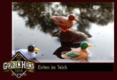 11 Enten im Teich.jpg