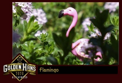 15 Flamingo.jpg