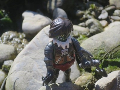 IMG_4014.jpg (60.39 KiB) 7300 mal betrachtet IMG_4014.jpg