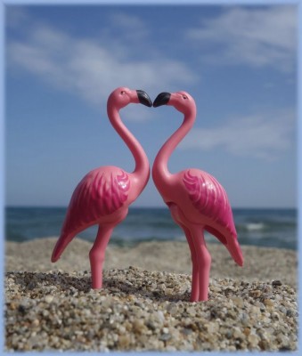 Flamingoherz.jpg