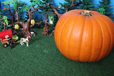 IMG_1124.JPG