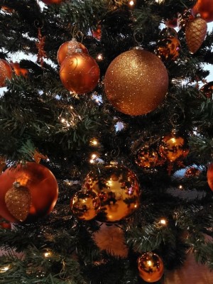 IMG_20211128_153146_copy_617x824.jpg (158.29 KiB) 2024 mal betrachtet IMG_20211128_153146_copy_617x824.jpg