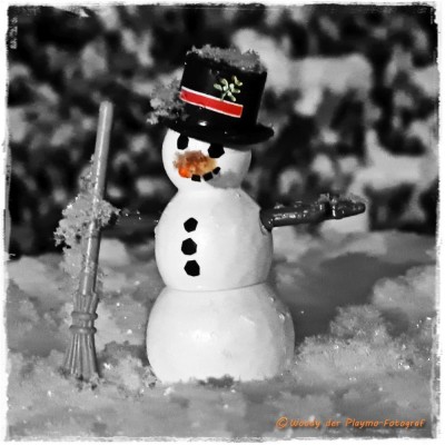 snowman_sw.jpg