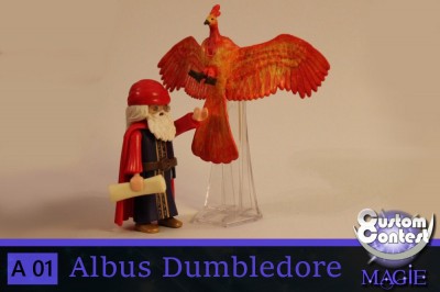 Custom Contest Magie Albus Dumbledore.JPG