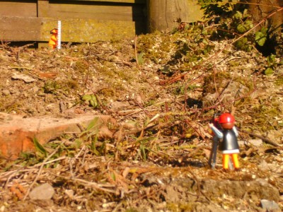 BILD7484.JPG (275.51 KiB) 4172 mal betrachtet BILD7484.JPG