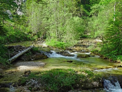 Antler-61.jpg (324.17 KiB) 5669 mal betrachtet Antler-61.jpg