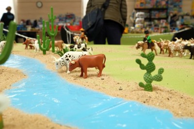 cow8.JPG
