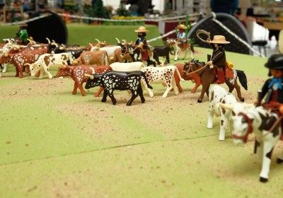 cow9.JPG