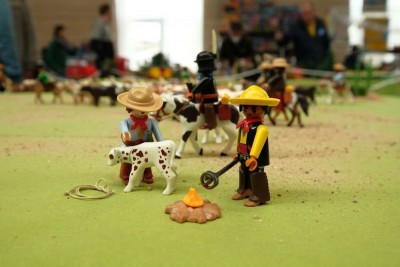cow10.JPG