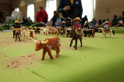cow11.JPG