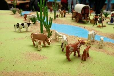 cow12.JPG