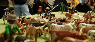 cow14.JPG