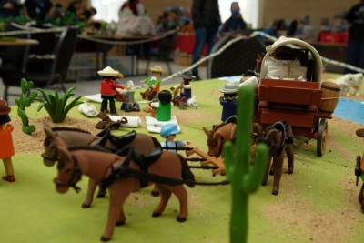 cow19.JPG