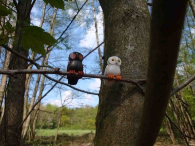 Eulen im Solinger Wald.jpg