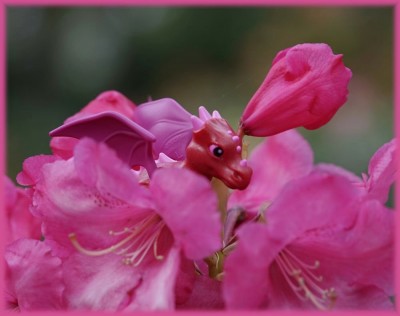Rhododendrache.jpg