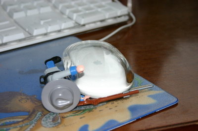 playmo040_357.jpg
