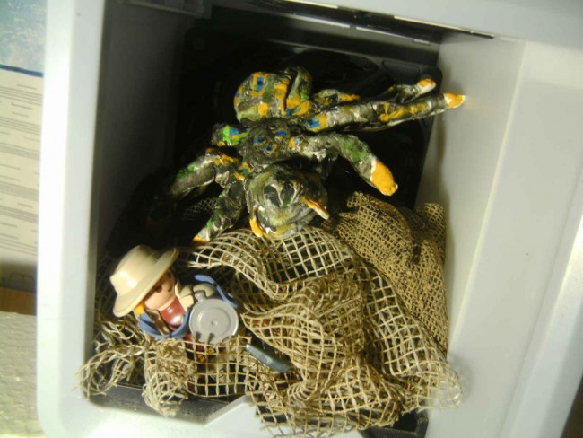 BILD7978.JPG (175.58 KiB) 4436 mal betrachtet BILD7978.JPG