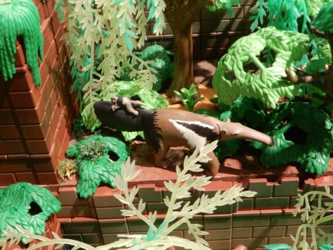 image2858.jpg