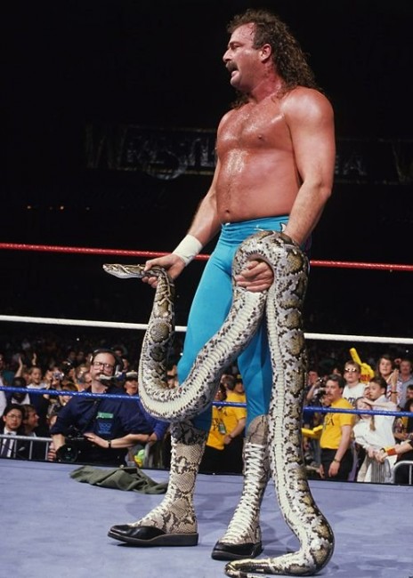 Jake Roberts 1.jpg