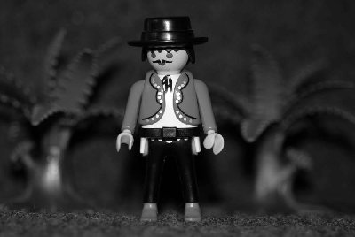 m-Don Diego Vega.jpg (63.91 KiB) 2328 mal betrachtet m-Don Diego Vega.jpg