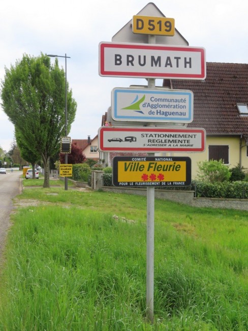 b.4.jpg