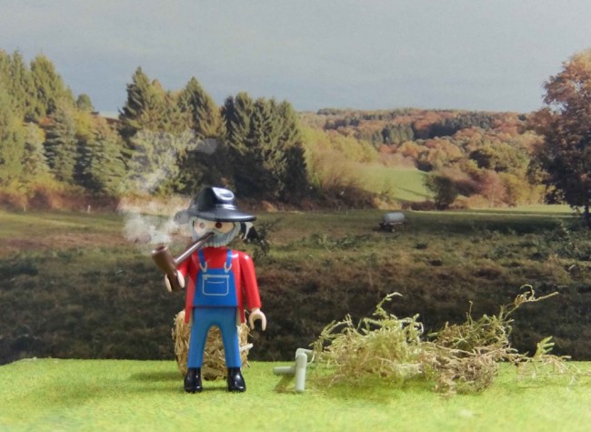 Bild (55).jpg (148.04 KiB) 5695 mal betrachtet Bild (55).jpg