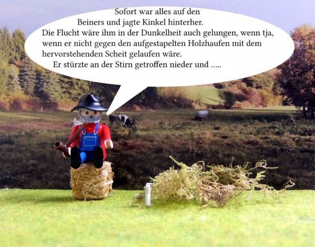 Bild (58).jpg (192.07 KiB) 6480 mal betrachtet Bild (58).jpg