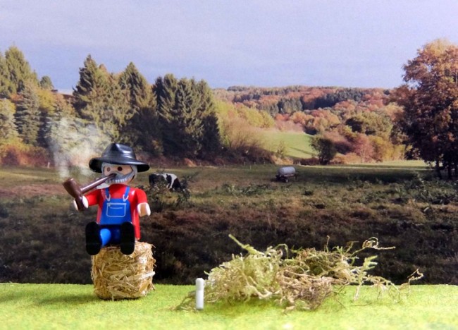 Bild (99).jpg (173.66 KiB) 6029 mal betrachtet Bild (99).jpg