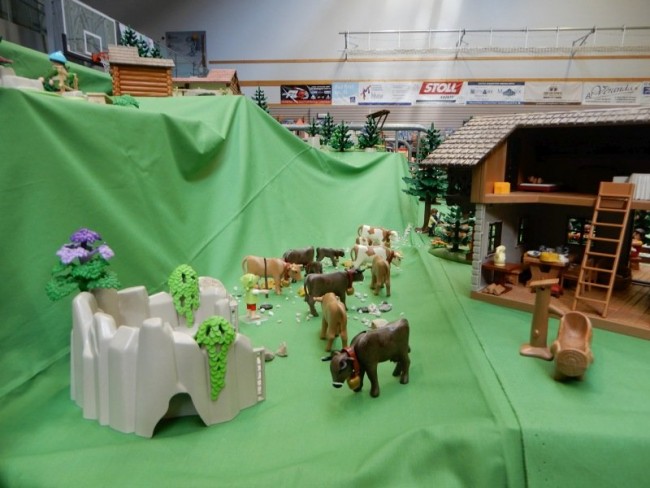 images5205.jpg