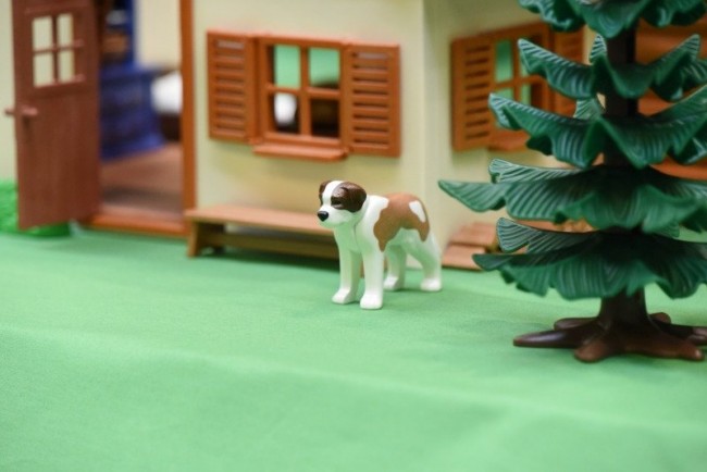 images5204.jpg