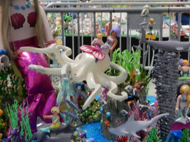 images5058.jpg