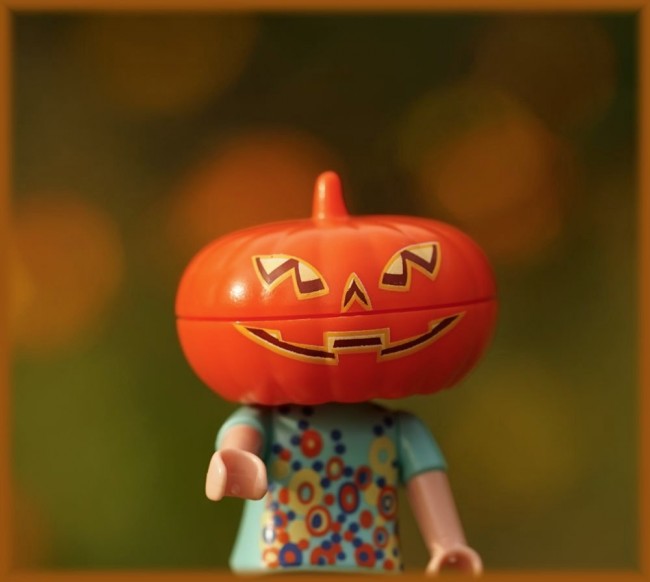 Kuerbis3.jpg (103.99 KiB) 9198 mal betrachtet Kuerbis3.jpg