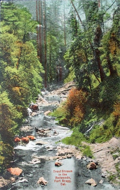 Aiaia.035.jpg (249.05 KiB) 1507 mal betrachtet Aiaia.035.jpg