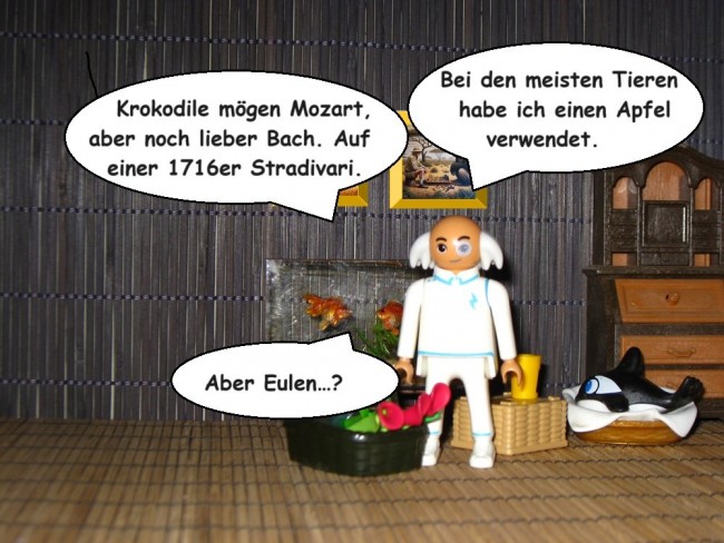 Palts-8.jpg