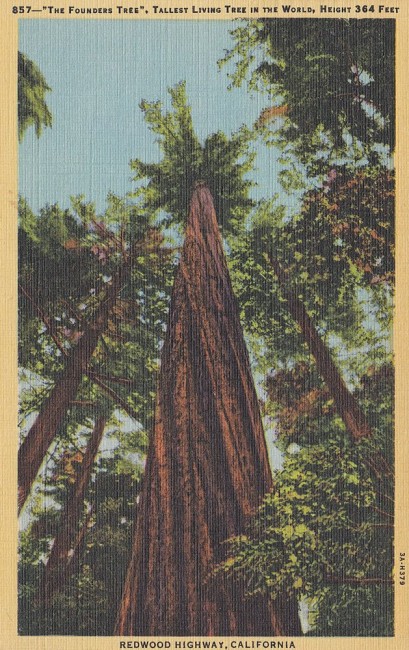 Aiaia.034.jpg (268.96 KiB) 1163 mal betrachtet Aiaia.034.jpg