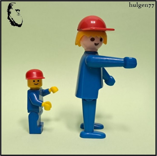Evolution.JPG