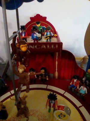 IMG_20240709_122315_552.jpg