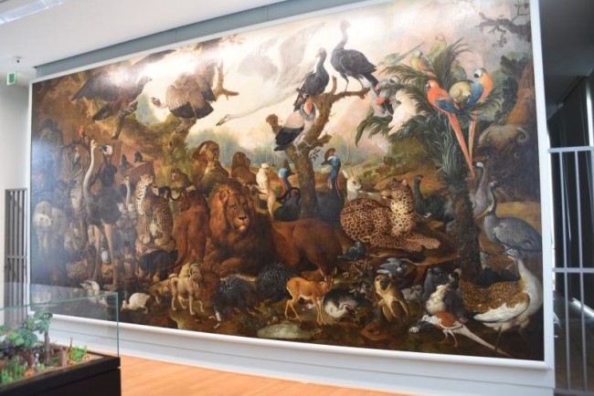 Kassel6088.jpg