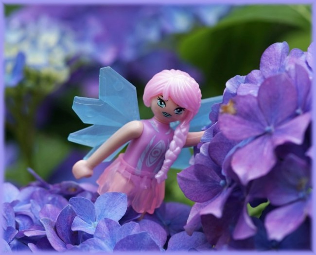 FeeHortensie.jpg