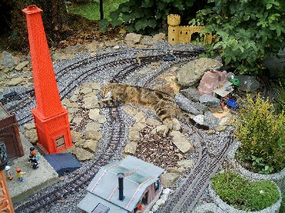 Purzel8.JPG (243.23 KiB) 1897 mal betrachtet Purzel8.JPG